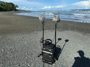 IMG-20250820-WA0052.jpg__PID:89a1c33c-38bb-462a-8a0d-e25de6ae56bd